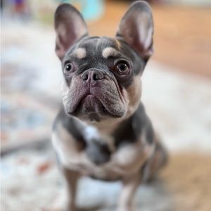 Meet your Posher, Alicia